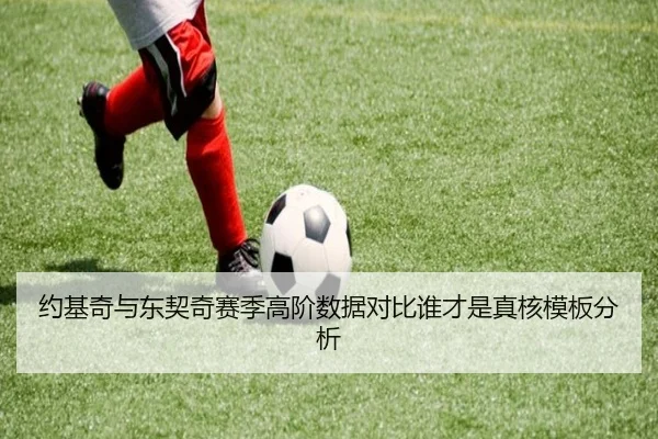 约基奇与东契奇赛季高阶数据对比谁才是真核模板分析